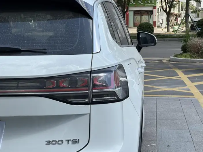 Volkswagen Tayron 2023 Model 300TSI 2WD Luxury Plus Advanced version – фото 9