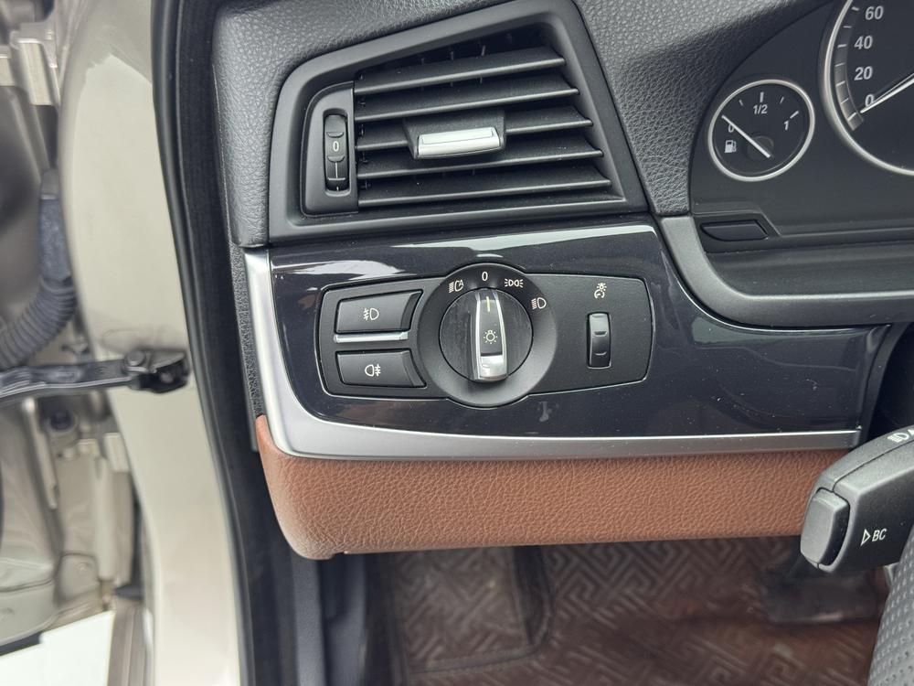 BMW 5 Series импорт 2015 модификация 520i Elegance – фото 19