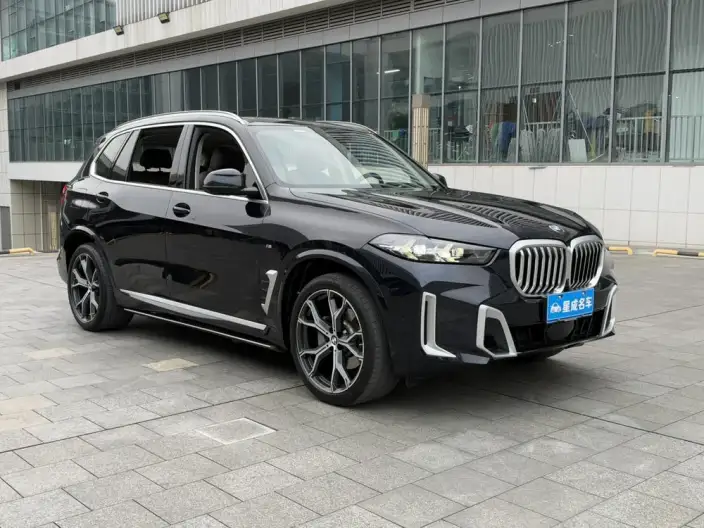 BMW X5 2023 Model xDrive30Li Exclusive Model M Sports Set – фото 3