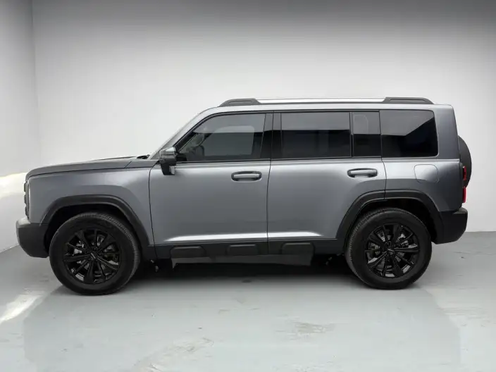 HAVAL Menglong PHEV 2024 Model 1.5T Hi4 102 Pro