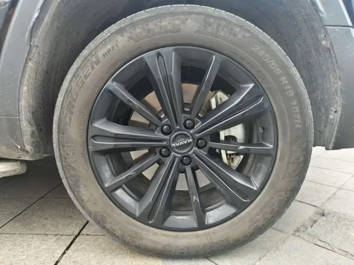 HAVAL Menglong PHEV 2023 Model 1.5T Hi4 145 Tiggo Edition – фото 8