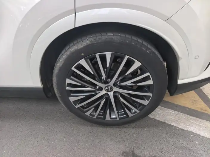 Lexus RX PHEV 2023 Model 450h+ 4WD Changxiang Edition – фото 6