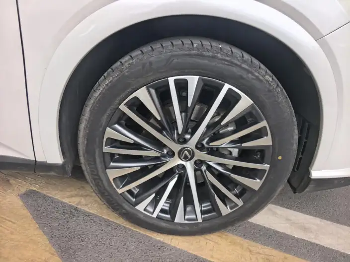 Lexus RX PHEV 2023 Model 450h+ 4WD Changxiang Edition – фото 8
