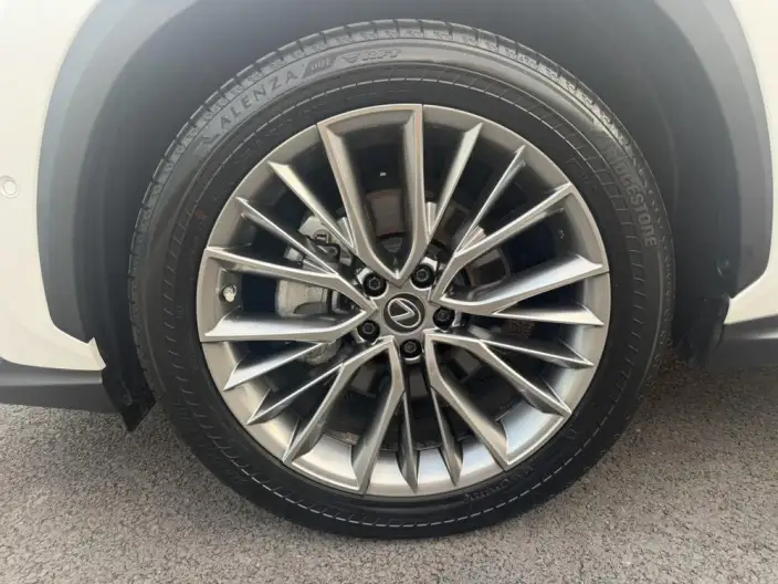 Lexus NX PHEV 2022 Model 400h+ Enjoy Ling Edition – фото 7