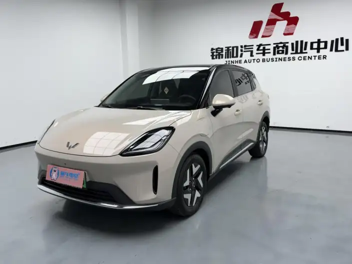 Wuling BingoS 2025 Model 430km Flagship Model