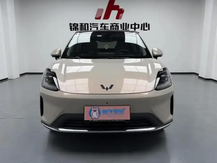 Wuling BingoS 2025 Model 430km Flagship Model