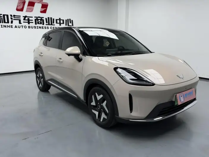 Wuling BingoS 2025 Model 430km Flagship Model