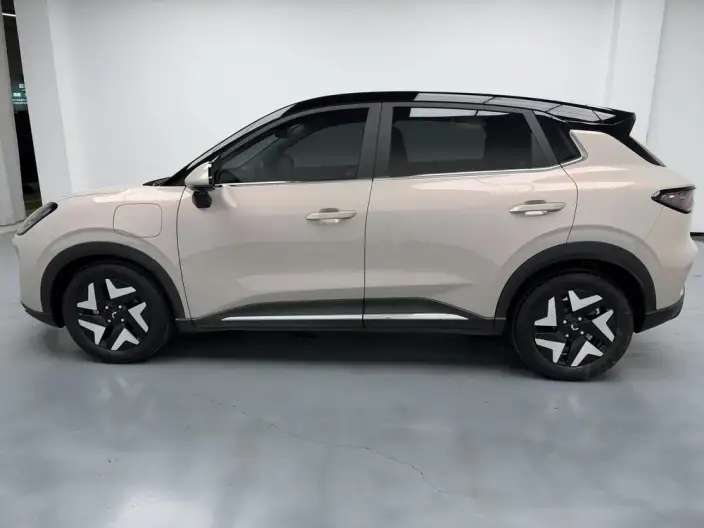Wuling BingoS 2025 Model 430km Flagship Model