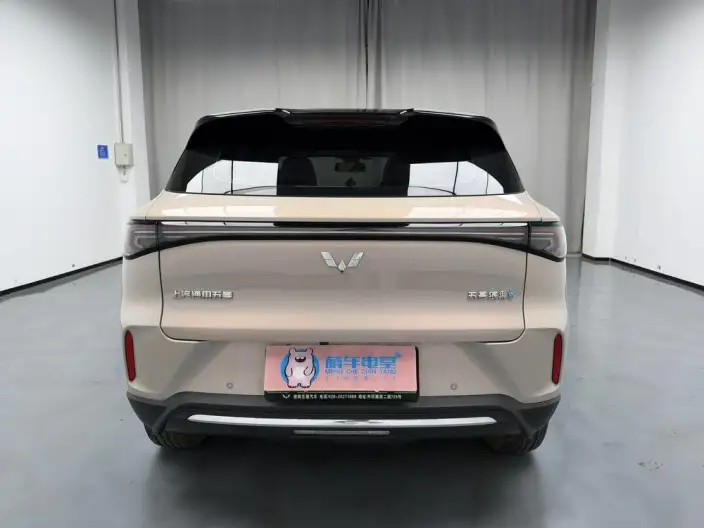Wuling BingoS 2025 Model 430km Flagship Model – фото 6