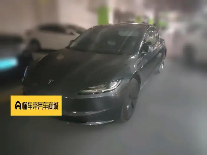 Model 3 2025 Model Rear-wheel drive version – фото 1