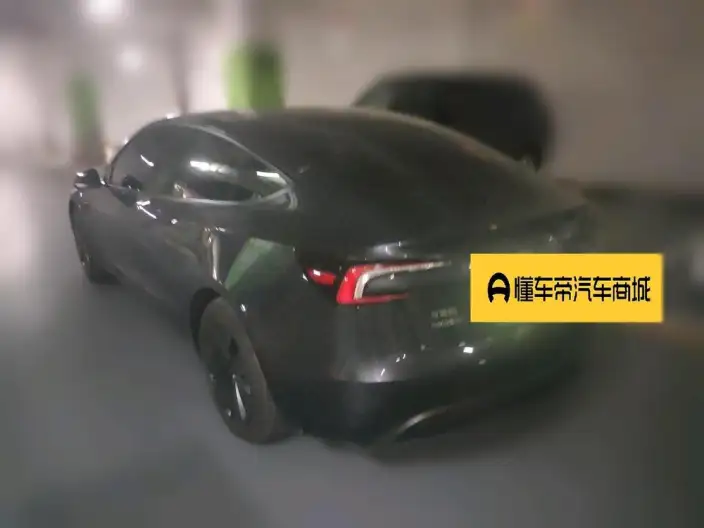 Model 3 2025 Model Rear-wheel drive version – фото 4