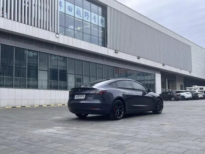 Model 3 2022 Model Performance High performance All-wheel drive version – фото 6