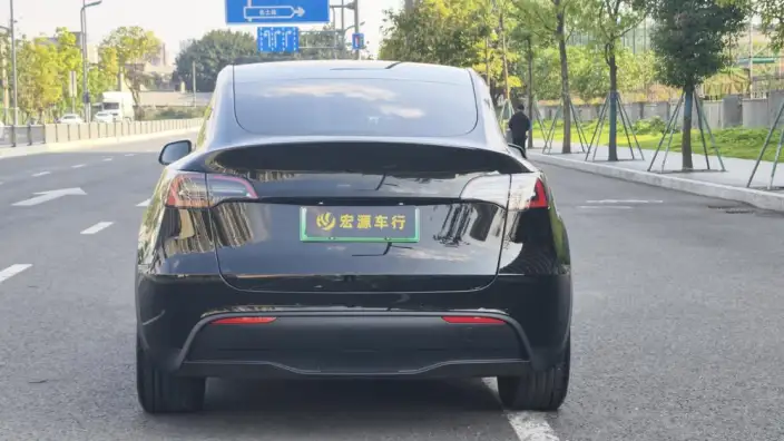 Model Y 2023 Model Long Battery Life Pro All-wheel drive version – фото 6