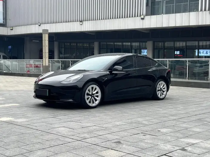 Model 3 2022 Model Rear-wheel drive version – фото 1