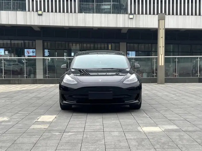 Model 3 2022 Model Rear-wheel drive version – фото 2