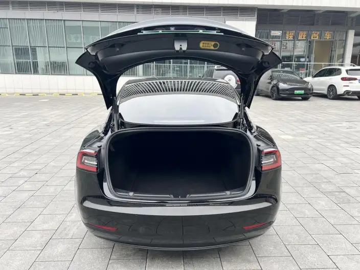 Model 3 2022 Model Rear-wheel drive version – фото 10
