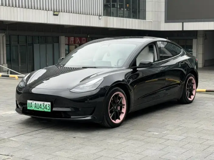 Model 3 2022 Model Rear-wheel drive version – фото 1