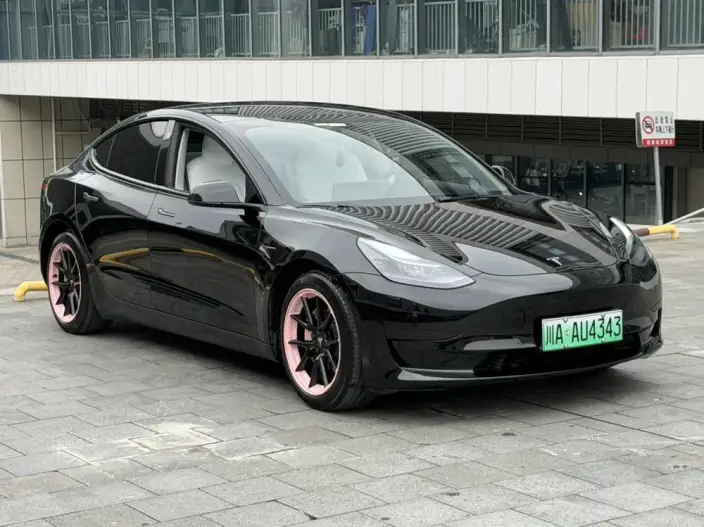 Model 3 2022 Model Rear-wheel drive version – фото 3