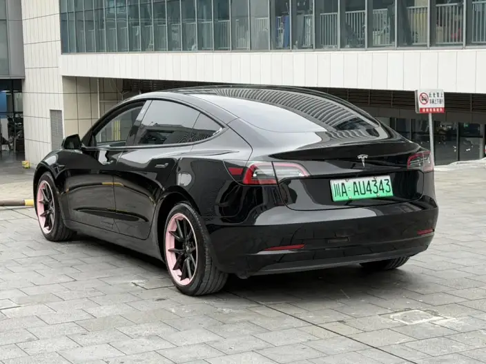 Model 3 2022 Model Rear-wheel drive version – фото 5