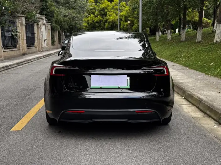 Model 3 2025 Model Rear-wheel drive version – фото 6
