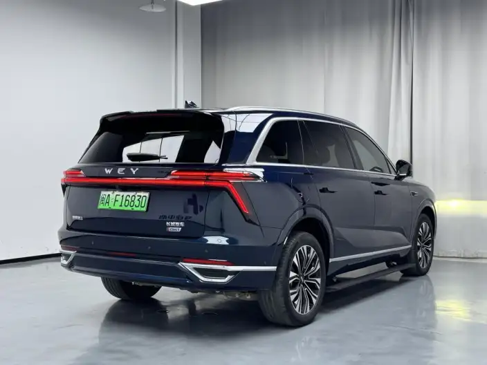 Wey Blue Mountain 2023 Model 4WD Ultra-long Endurance – фото 6