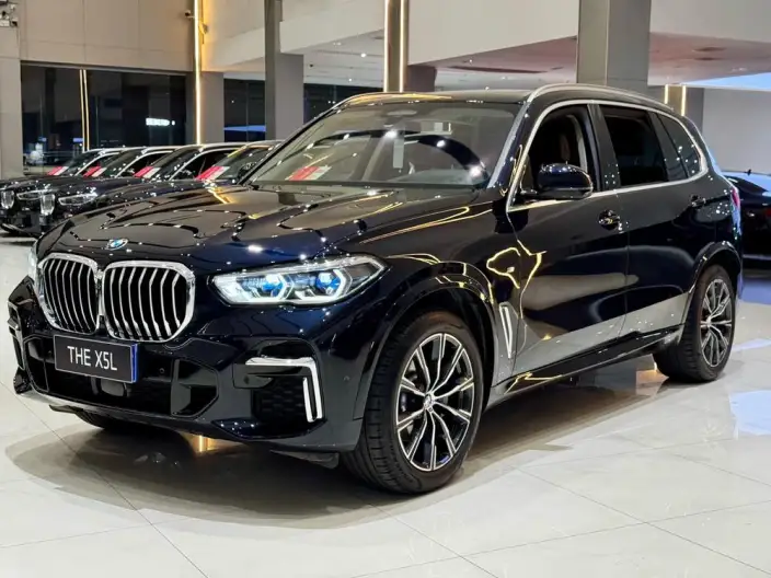 BMW X5 2022 Model xDrive 30Li Exclusive Model M Sports Set
