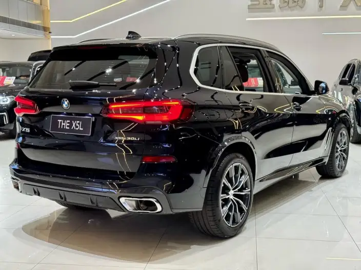 BMW X5 2022 Model xDrive 30Li Exclusive Model M Sports Set – фото 6