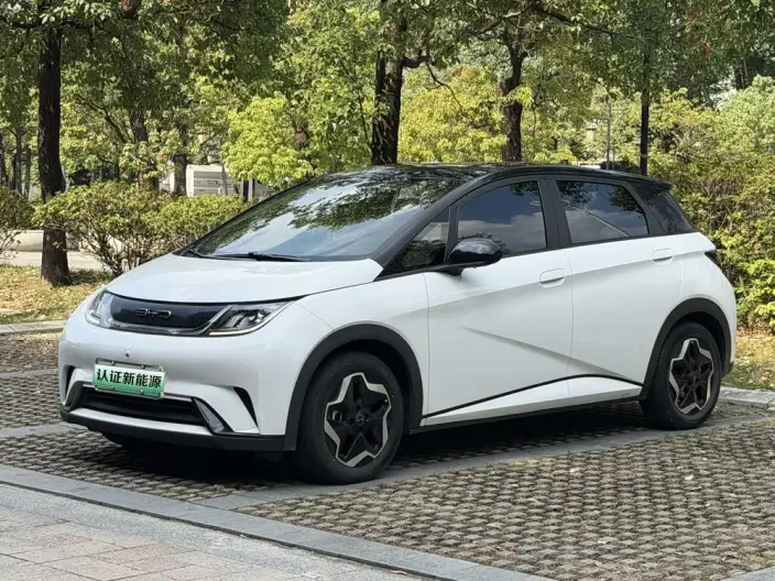 BYD Dolphin 2021 Model Free Edition