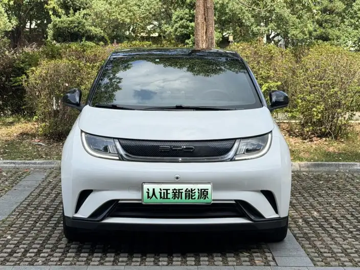 BYD Dolphin 2021 Model Free Edition