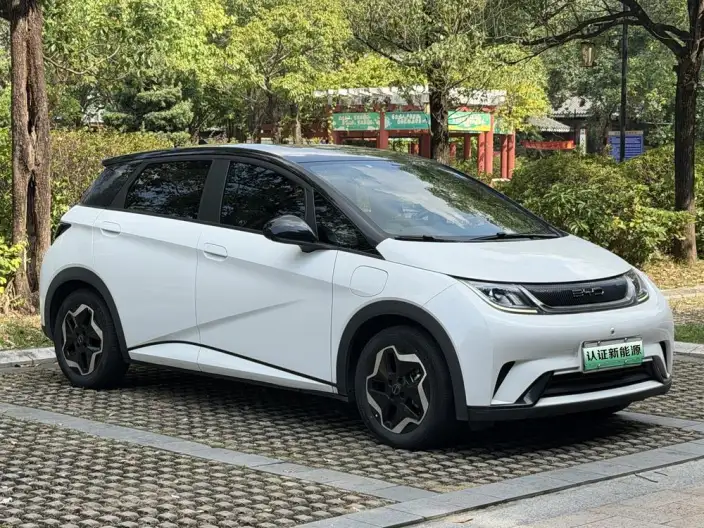 BYD Dolphin 2021 Model Free Edition