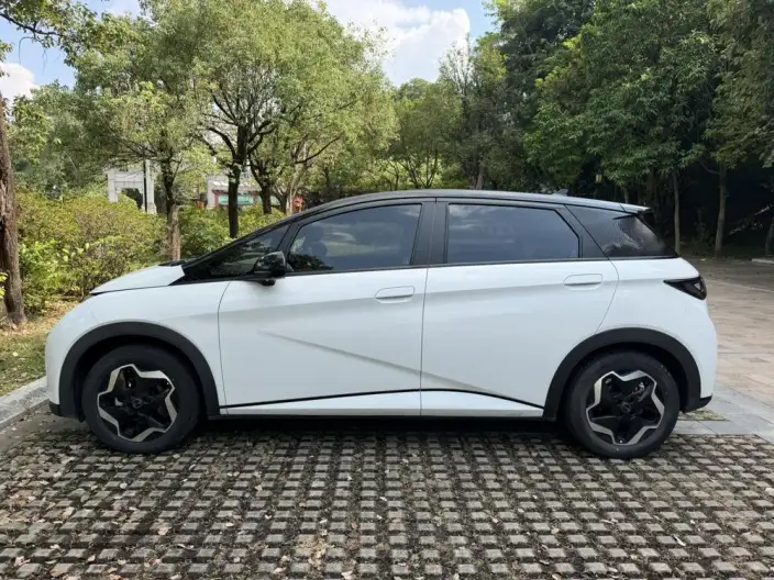 BYD Dolphin 2021 Model Free Edition