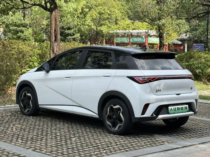 BYD Dolphin 2021 Model Free Edition – фото 5