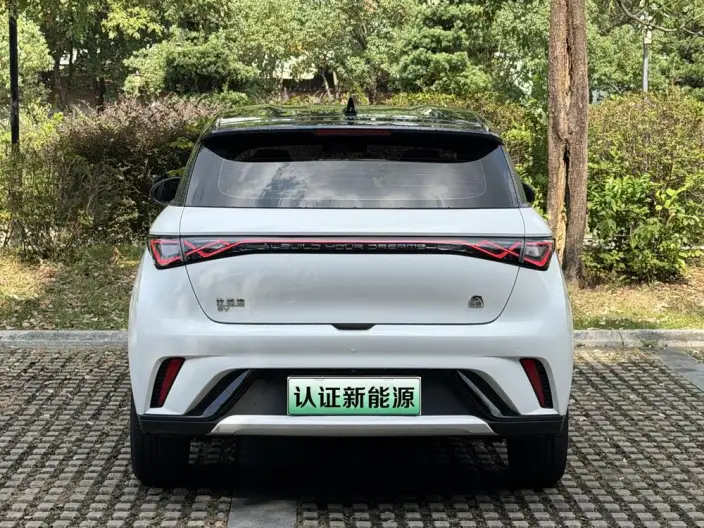 BYD Dolphin 2021 Model Free Edition – фото 6