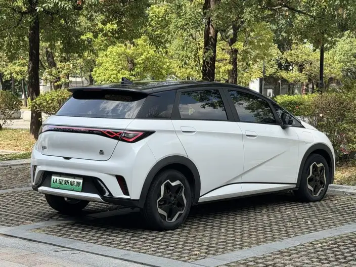 BYD Dolphin 2021 Model Free Edition – фото 7