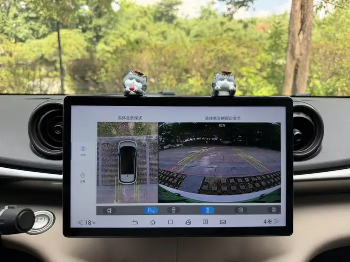 BYD Dolphin 2021 Model Free Edition – фото 8