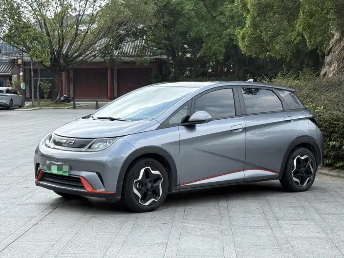 BYD Dolphin 2021 Model Fashion Edition