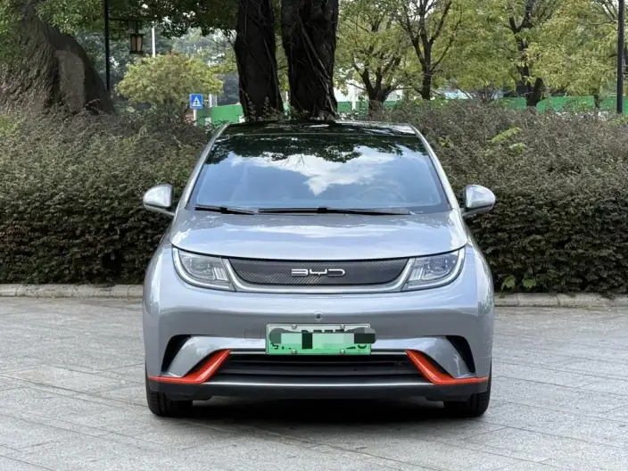 BYD Dolphin 2021 Model Fashion Edition