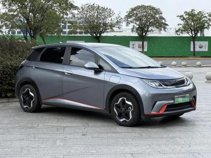 BYD Dolphin 2021 Model Fashion Edition