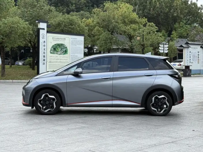 BYD Dolphin 2021 Model Fashion Edition