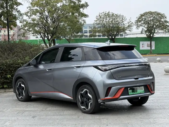BYD Dolphin 2021 Model Fashion Edition – фото 5