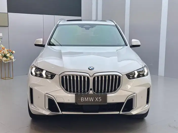 BMW X5 2023 Model xDrive30Li M Sports Set