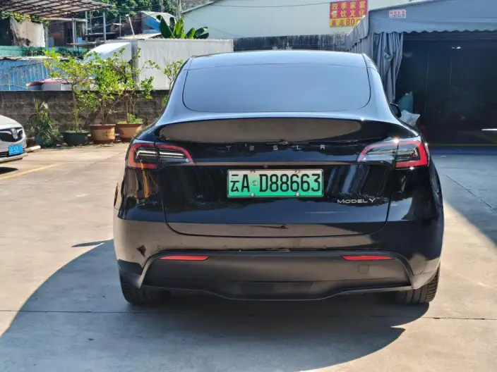 Model Y 2023 Model Long Battery Life Pro All-wheel drive version – фото 5