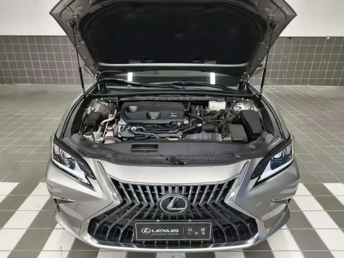 Lexus ES 2022 Model 300h Superior Edition – фото 5