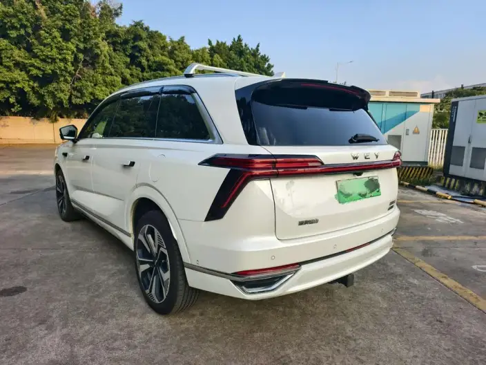 Wey Blue Mountain 2023 Model 4WD Ultra-long Endurance – фото 5