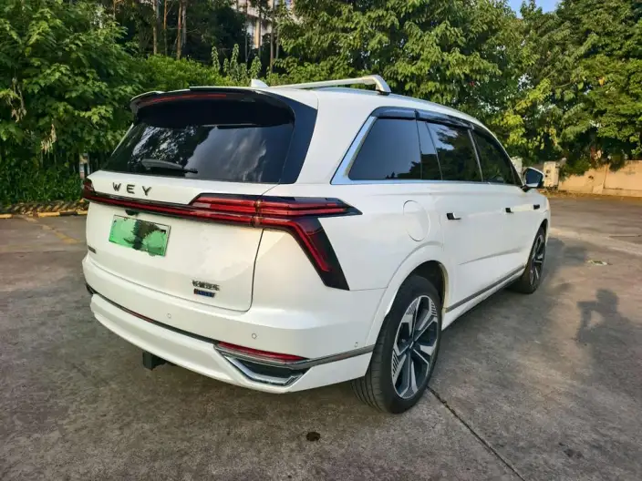 Wey Blue Mountain 2023 Model 4WD Ultra-long Endurance – фото 7