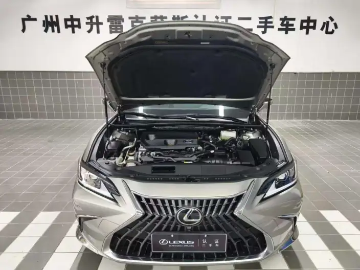 Lexus ES 2021 Model 300h Superior Edition – фото 8