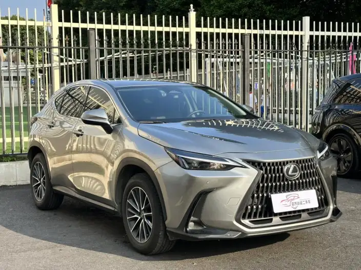 Lexus NX 2024 Model 260 Qian Drive Innovation Drive Edition