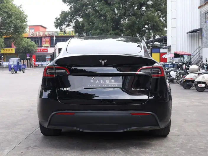 Model Y 2023 Model Rear-wheel drive version – фото 6