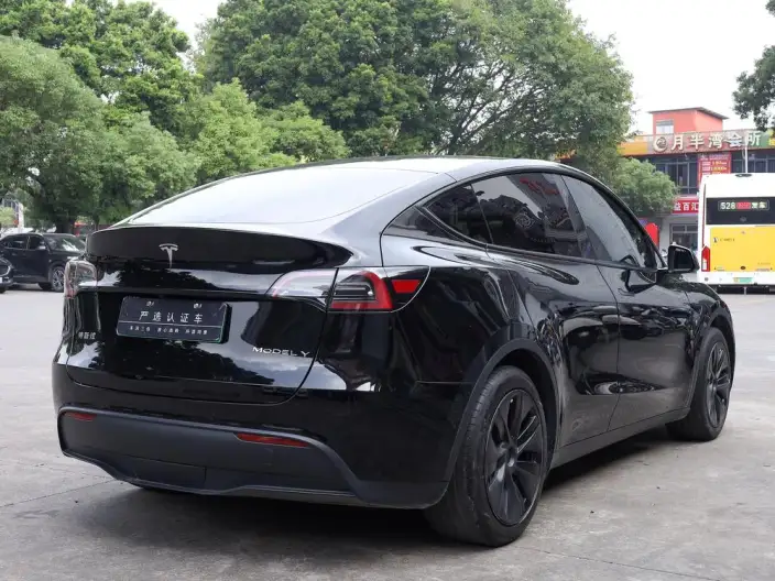 Model Y 2023 Model Rear-wheel drive version – фото 7