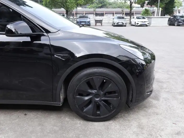 Model Y 2023 Model Rear-wheel drive version – фото 8